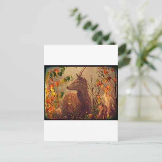 Biche Ô ma Biche Postkarte (Stehend Vorderseite)