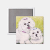 Bichon Babies Magnet (Vorderseite/Rückseite)