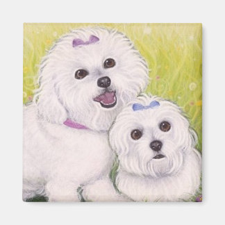 Bichon Babies Magnet