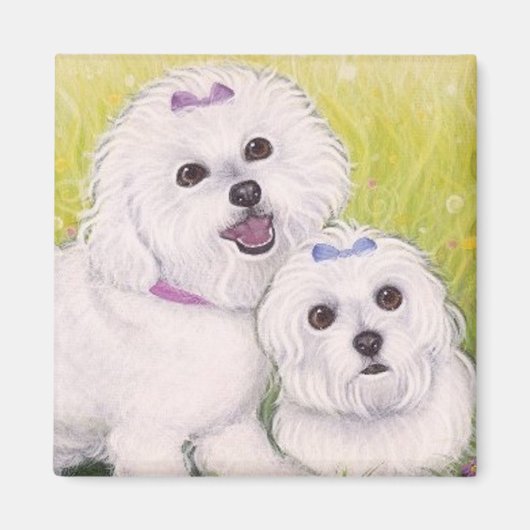 Bichon Babies Magnet (Vorne)