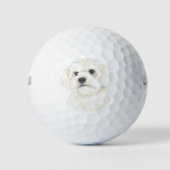 Bichon, Bolognese, Coton, Havanese, Maltesisch Golfball (Vorderseite)