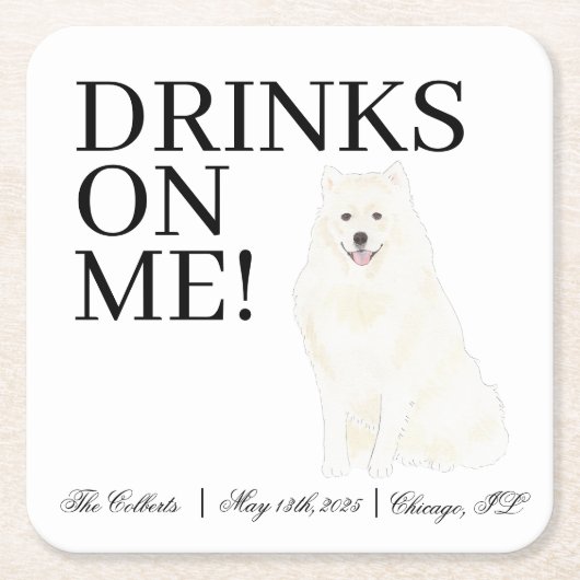 Bichon, Bolognese, Havanese, Malteser Hochzeit Rechteckiger Pappuntersetzer (Vorderseite)