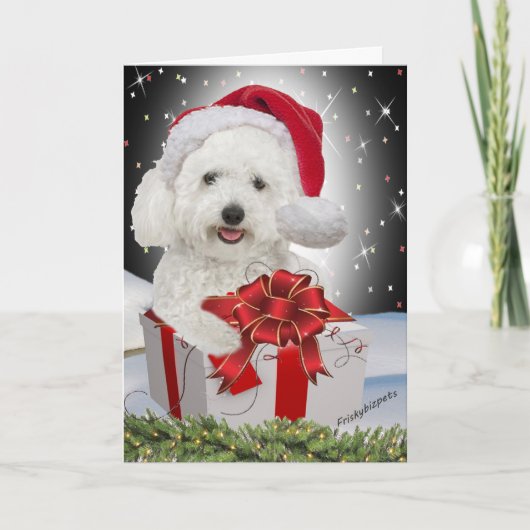 Bichon Christmas Cards Feiertagskarte (Vorderseite)