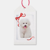Bichon Christmas Gift Tags Geschenkanhänger (Vorderseite)