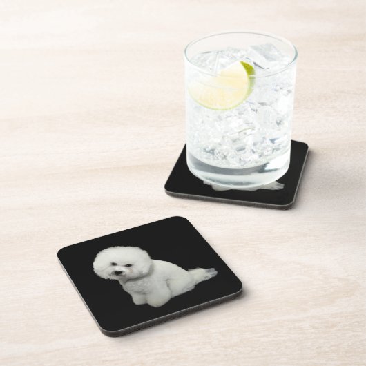 Bichon Coaster Untersetzer (Rechte Seite)