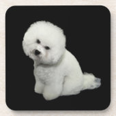 Bichon Coaster Untersetzer (Vorderseite)