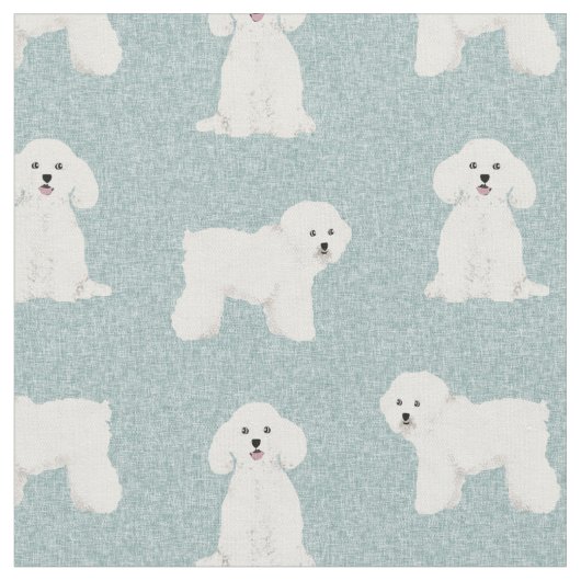 Bichon Fighlight Stoff (Nahaufnahme)