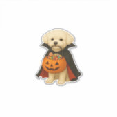 Bichon Fris� Halloween Vampire Pup with Pumpkin Ba Aufkleber (Vorderseite)