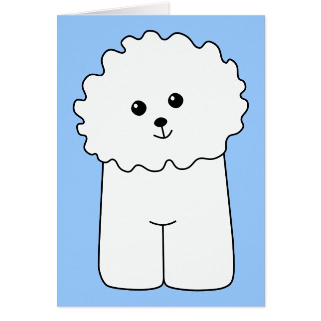 Bichon Frise. (Vorne)