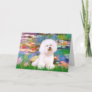 Bichon Frise 1 - Lilien 2 Karte
