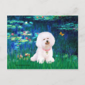 Bichon Frise 1 - Lilies #5 Postkarte (Vorderseite)