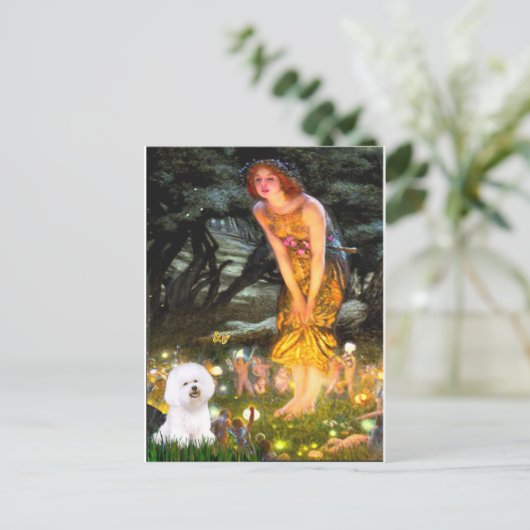 Bichon Frise 1 - MidEve Postkarte (Stehend Vorderseite)