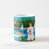 Bichon Frise 1 - Segelboote 1 Kaffeetasse (Mittel)