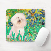 Bichon Frise 4 - Ire Mousepad (Mit Mouse)