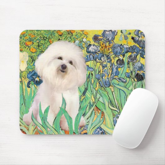 Bichon Frise 4 - Ire Mousepad (Mit Mouse)