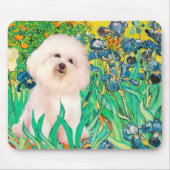 Bichon Frise 4 - Ire Mousepad (Vorne)