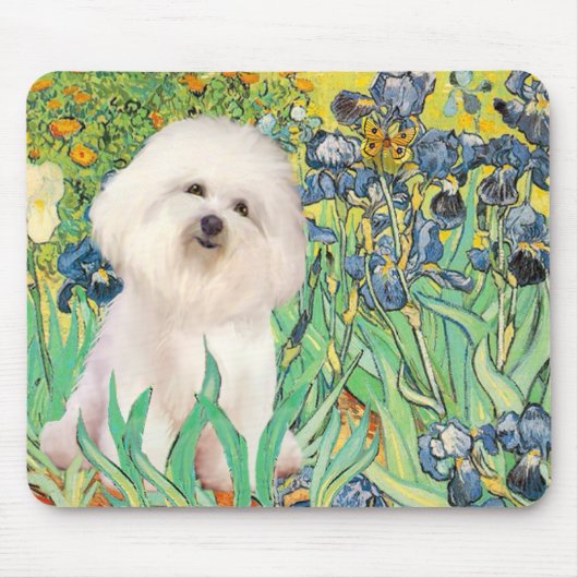 Bichon Frise 4 - Ire Mousepad (Vorne)