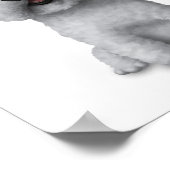 Bichon Frise: 8x10 Poster (Ecke)