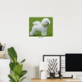 Bichon Frise 9F85D-15 Poster (Heimbüro)