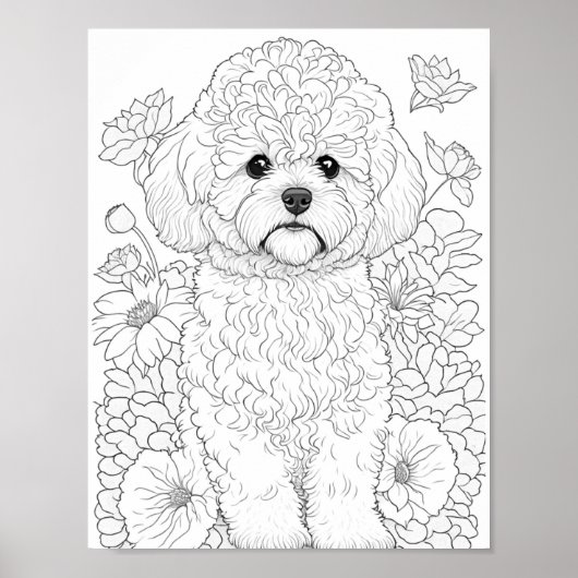 Bichon Frise Adult Coloring Poster (Vorne)