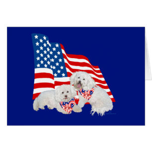 Bichon Frise American Flag