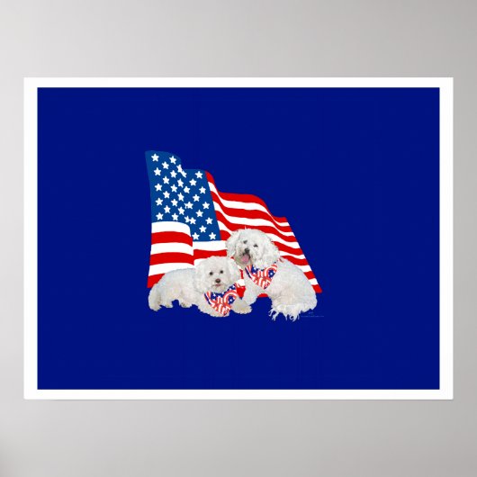 Bichon Frise American Flag Poster (Vorne)