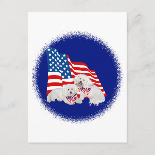 Bichon Frise American Flag Postkarte (Vorderseite)
