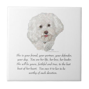 Bichon Frise Andenken WEIBLICH Fliese