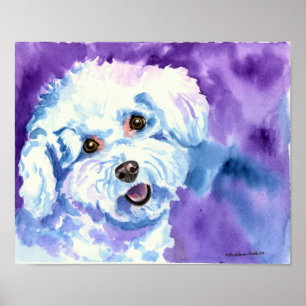 Bichon Frise Art Wall DRINT Poster