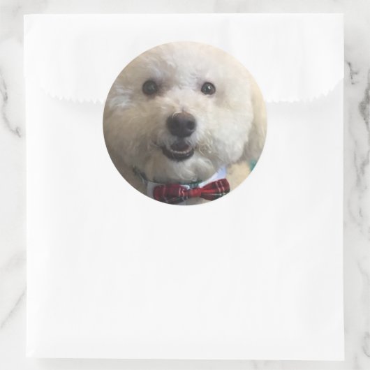 Bichon Frise - Aufkleber (Tasche)