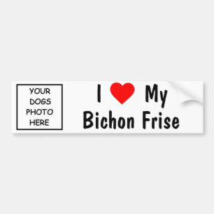 Bichon Frise Autoaufkleber