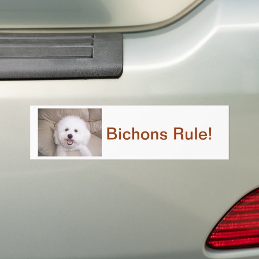 Bichon Frise Autoaufkleber (Auf Auto)