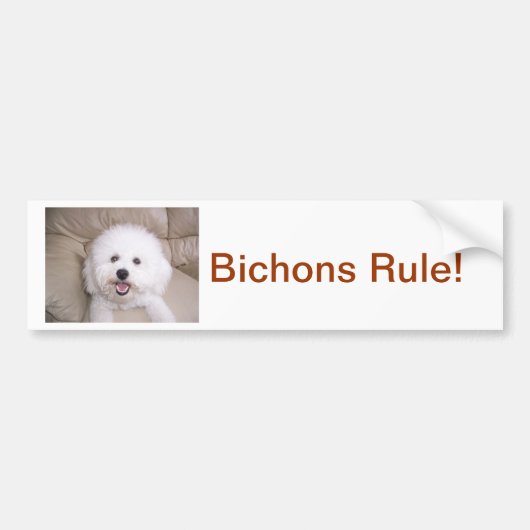 Bichon Frise Autoaufkleber (Vorne)