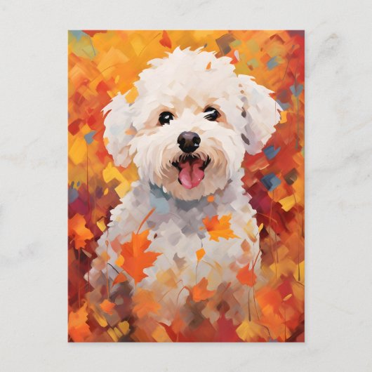 Bichon Frise Autumn Erntedank Postkarte (Vorderseite)