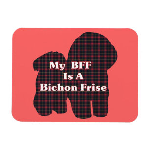 Bichon Frise BESTE FREUNDIN Magnet