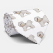 bichon_frise, Bichon Frise Krawatte (Gerollt)