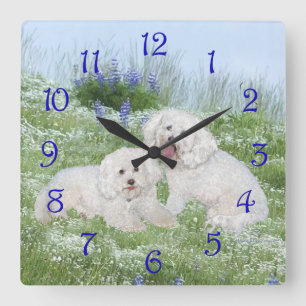 Bichon Frise Bluebonnets Quadratische Wanduhr