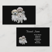 Bichon Frise Brüter-Visitenkarte Visitenkarte (Vorne/Hinten)