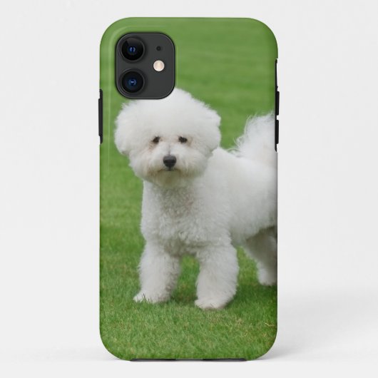 Bichon Frise Case-Mate iPhone Hülle (Rückseite)
