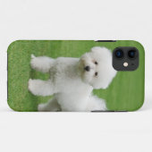 Bichon Frise Case-Mate iPhone Hülle (Rückseite (Horizontal))