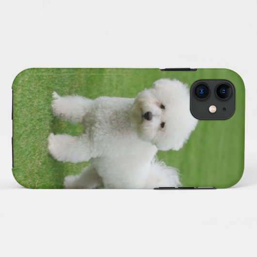 Bichon Frise Case-Mate iPhone Hülle (Rückseite (Horizontal))