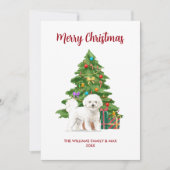 Bichon Frise Christmas Card Feiertagskarte (Vorderseite)