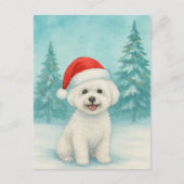 Bichon Frise Christmas Card - Urlaubskarte Postkarte (Vorderseite)
