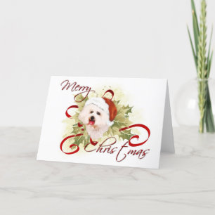 Bichon Frise Christmas Cards Feiertagskarte