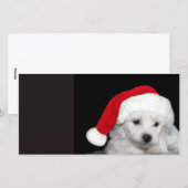 Bichon Frise Christmas Feiertagskarte (Vorne/Hinten)