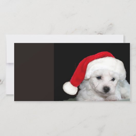 Bichon Frise Christmas Feiertagskarte (Vorderseite)
