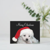 Bichon Frise Christmas Feiertagspostkarte (Stehend Vorderseite)
