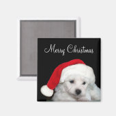 Bichon Frise Christmas Magnet (Vorderseite/Rückseite)