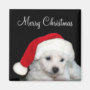 Bichon Frise Christmas Magnet