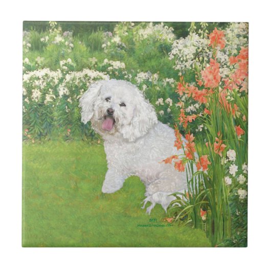 Bichon Frise Coral Fantasy Fliese (Vorderseite)